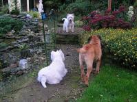 Klik op de foto voor groter formaat